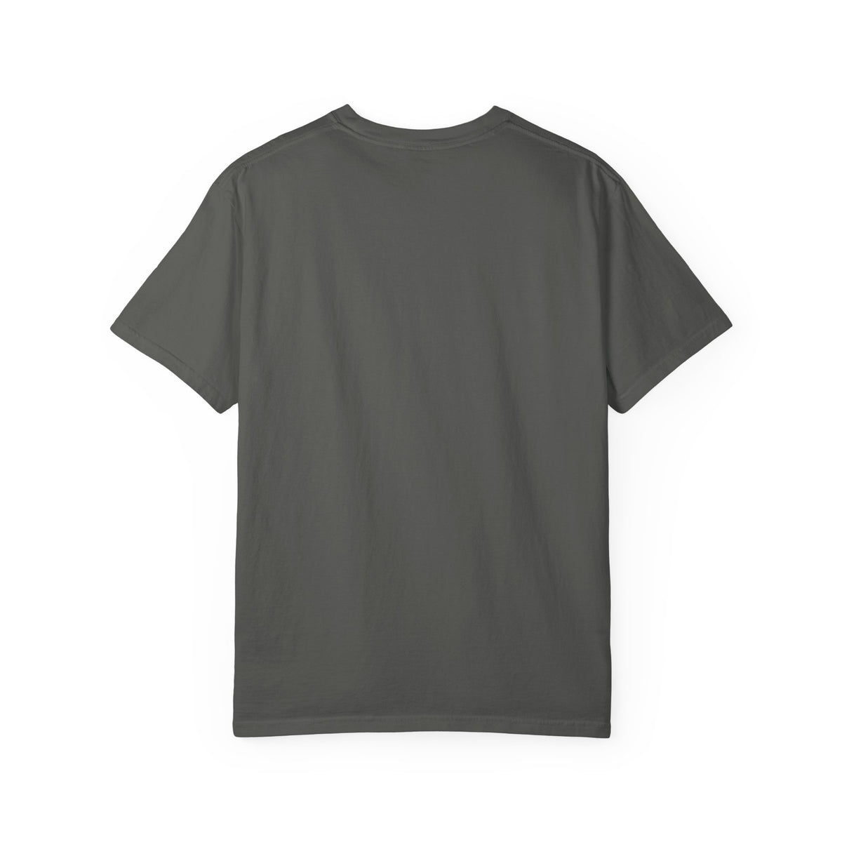 I’m Not Judging, I’m Observing Aggressively Cruise Tee